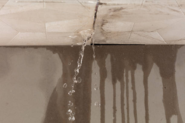 Professional Structural Drying technician working in Saint Clair Shores, MI